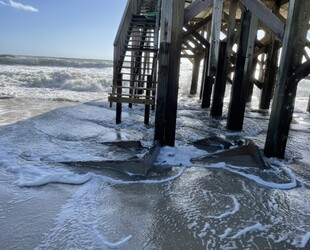 MYRTLE BEACH STATE PARK